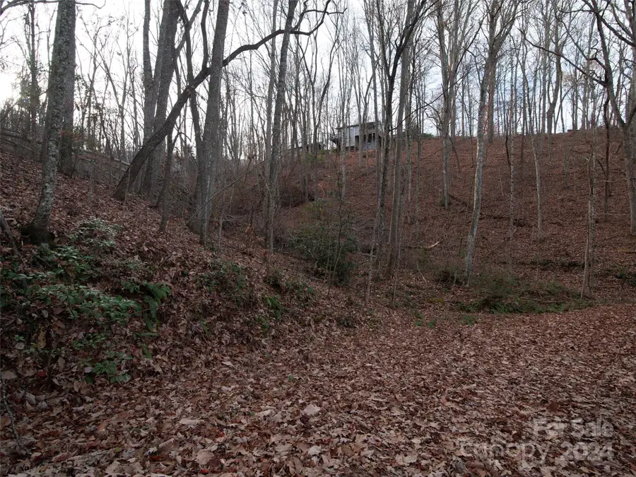 000 Beacon Rock Lane #Lot 211, Waynesville, NC 28786 - Image #2