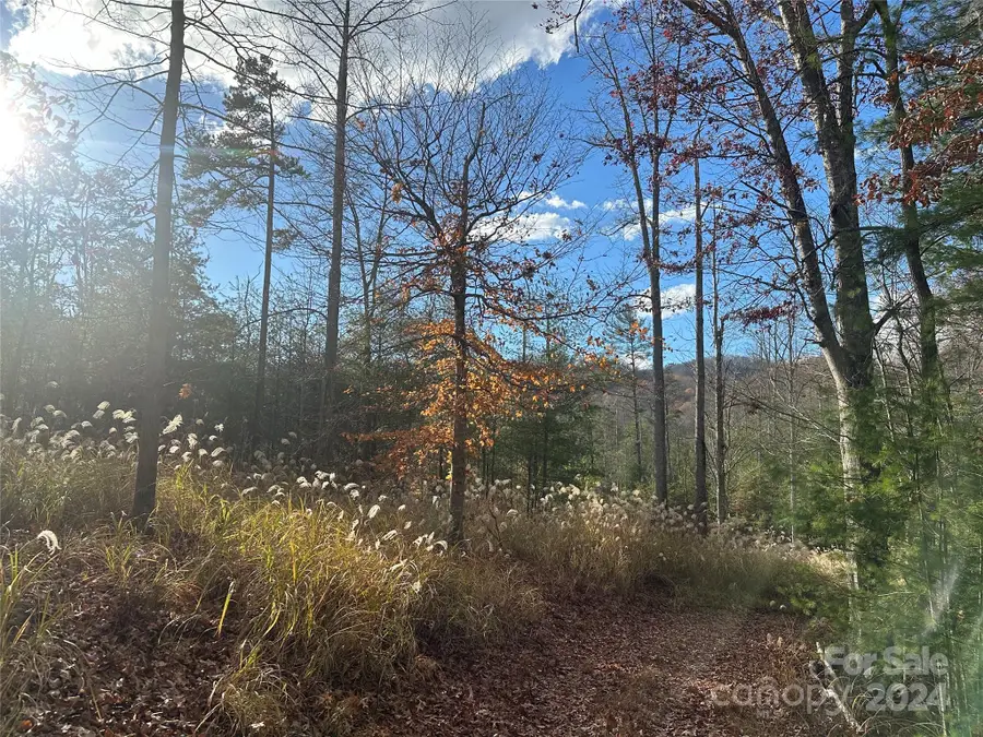 000 The Vines Boulevard #5, Marshall, NC 28753 - Image #3