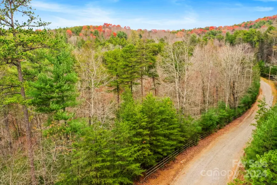 0 Wheel Team Trail S #49, McGrady, NC 28649 - Image #2