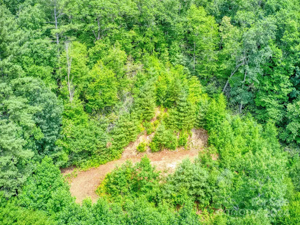 000 Cawood Lane, Clyde, NC 28721 - Image #1