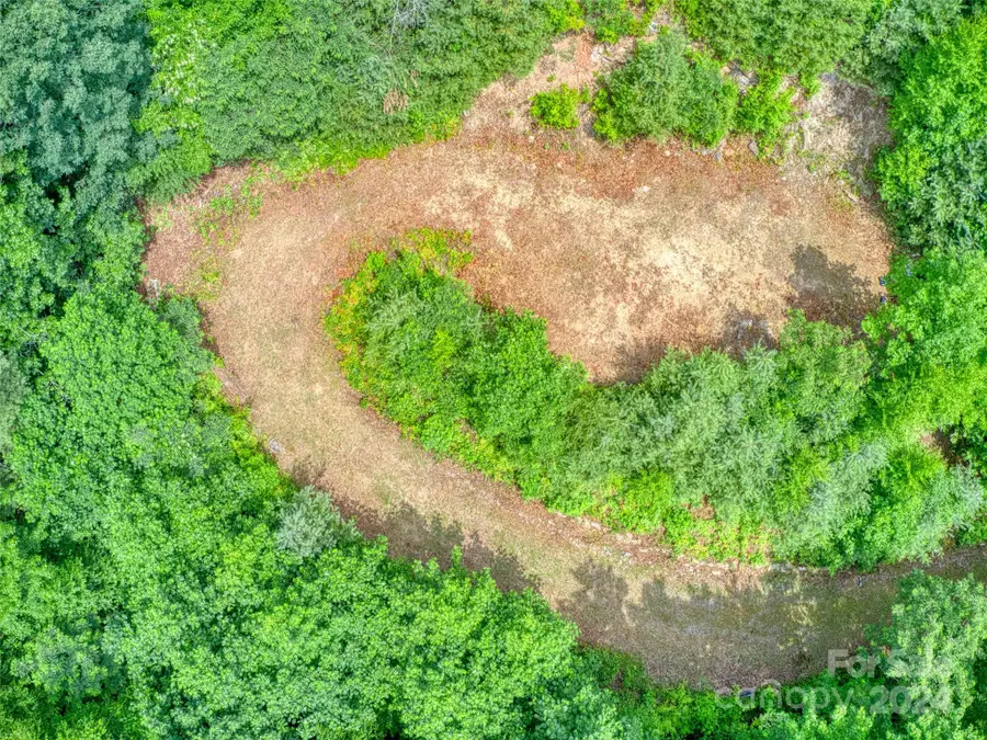 000 Cawood Lane, Clyde, NC 28721 - Image #3