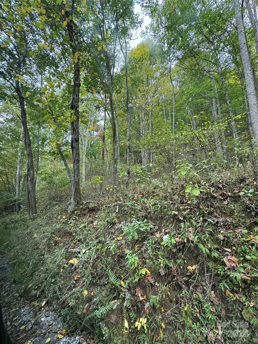 9999 West Road, Hot Springs, NC 28743 - Image #3