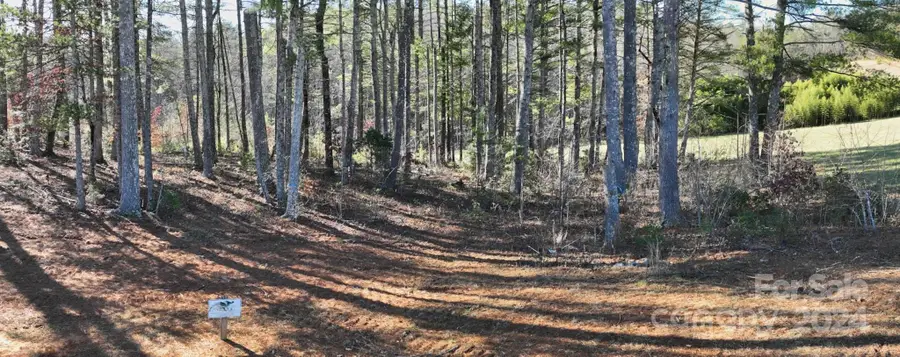 2.81 acres, 4098 Derbyshire Lane #G32, Lenoir, NC 28645 - #3