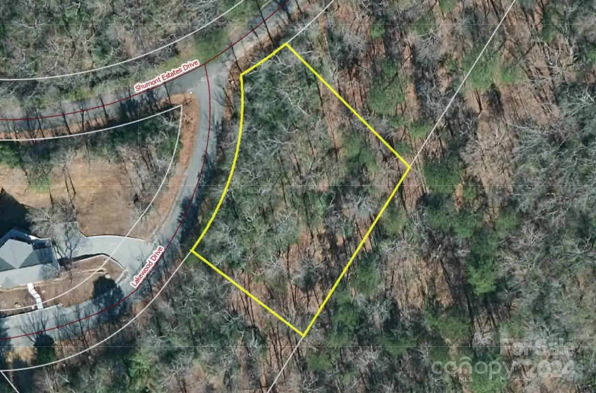Lot 48 Shumont Estates Drive #48, Lake Lure, NC 28746 - Image #1