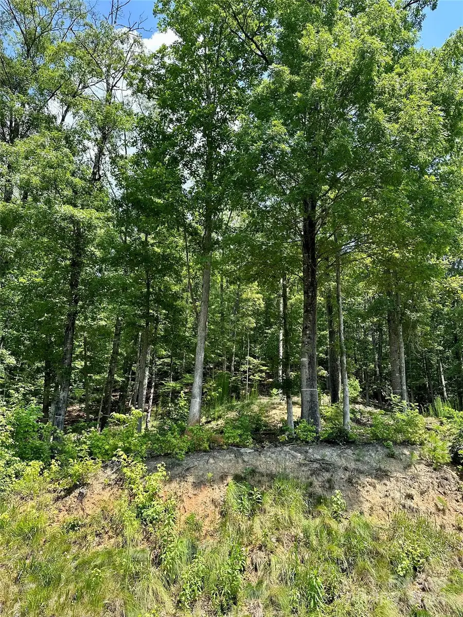 4110 French Broad Parkway #55, Marshall, NC 28753 - Image #2