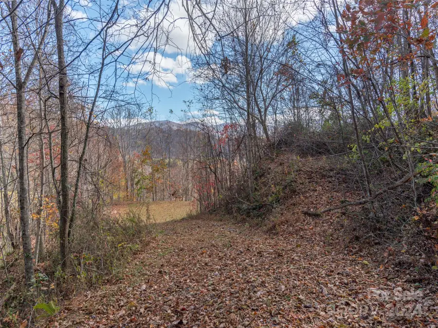 00 Mcnary Drive #8, Clyde, NC 28721 - Image #3