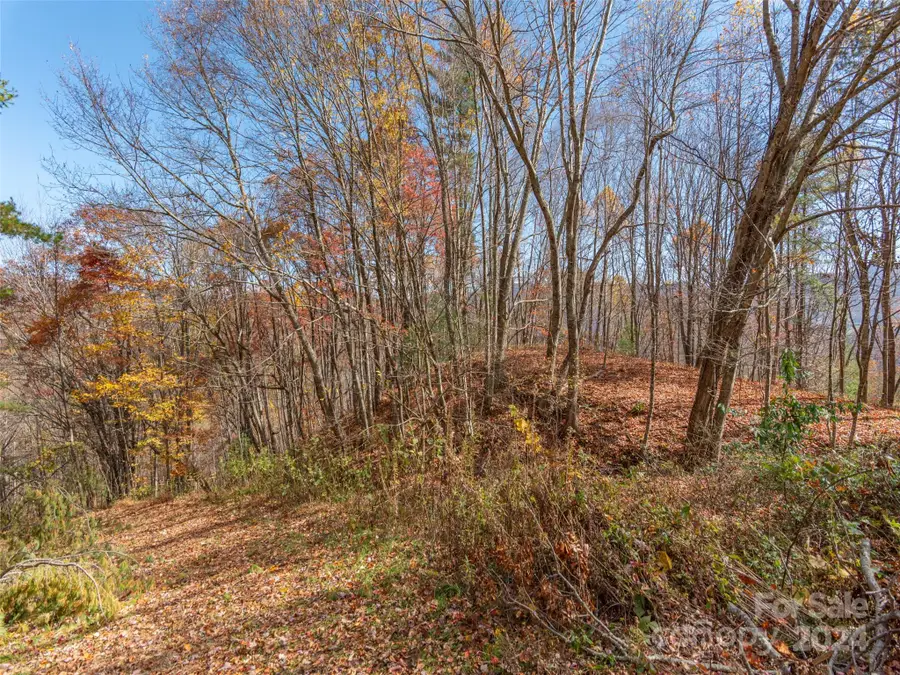 0 Mcnary Drive, Clyde, NC 28721 - Image #3