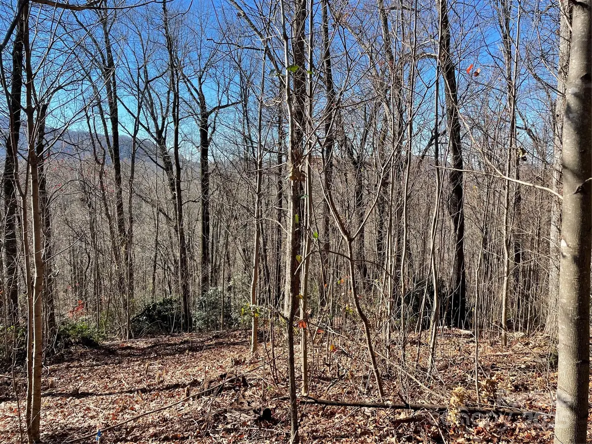 9999-1 Nesbitt Chapel Road, Fairview, NC 28730 - Image #1