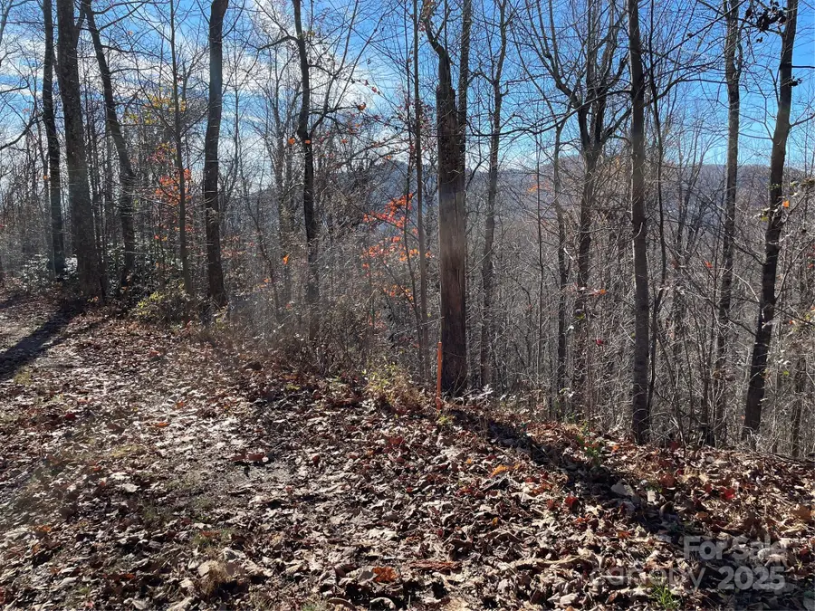 9999-1 Nesbitt Chapel Road, Fairview, NC 28730 - Image #3