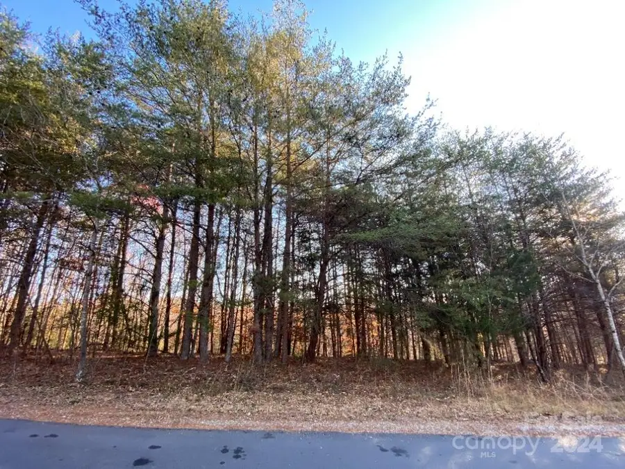 1438 Windemere Lane, Hickory, NC 28602 - Image #2