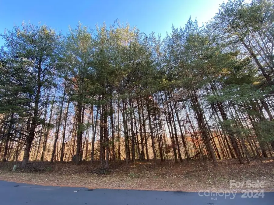 1438 Windemere Lane, Hickory, NC 28602 - Image #3