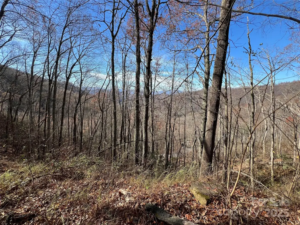 Lot 8 Falls View Drive, Bryson City, NC 28713 - Image #1