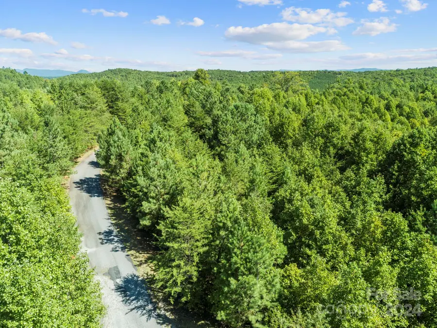 0000 Hope Drive, Rutherfordton, NC 28139 - Image #3