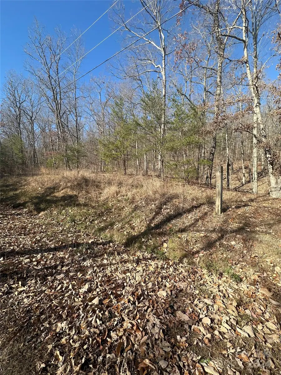 TBD Ridge Creek Drive #6,4,7, Taylorsville, NC 28681 - Image #2