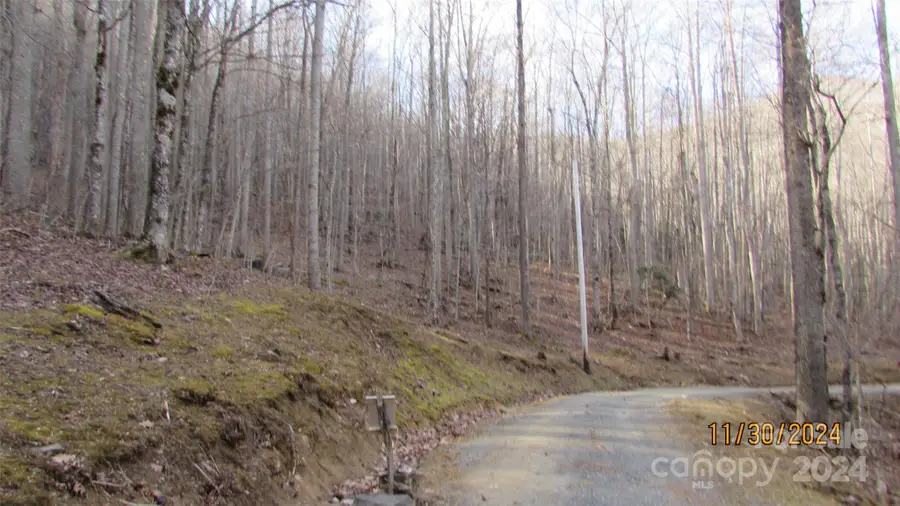 000 Hickory Springs Drive, Burnsville, NC 28714 - Image #2