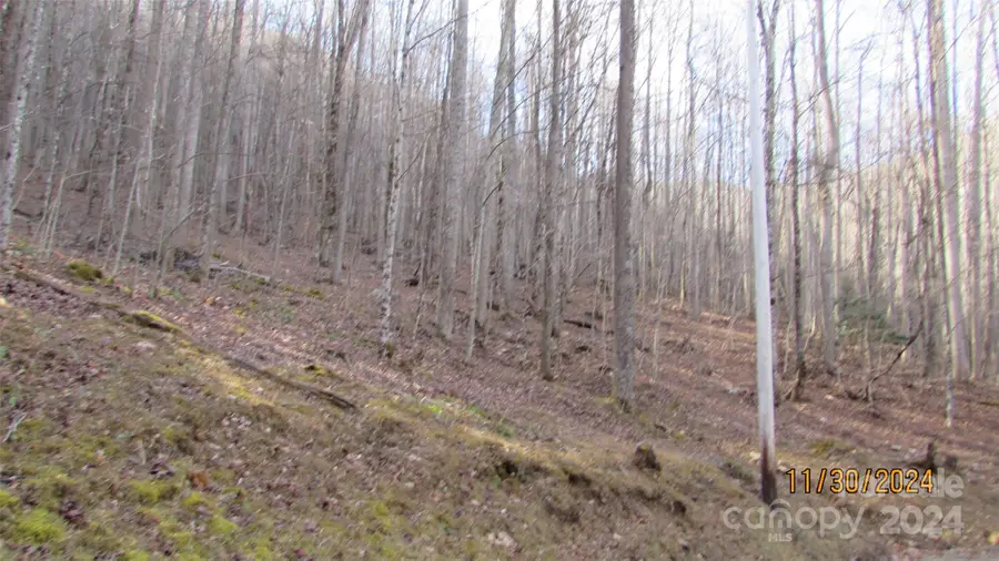 000 Hickory Springs Drive, Burnsville, NC 28714 - Image #3