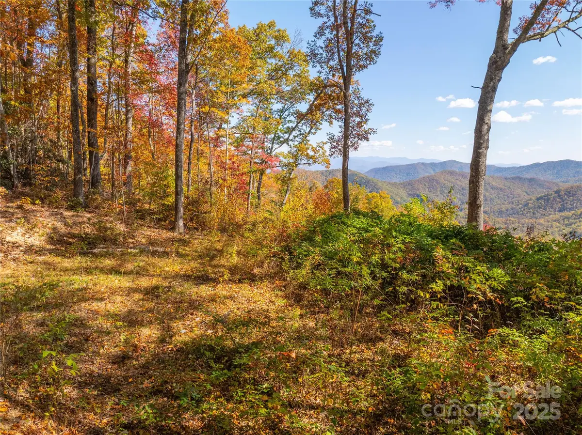 9999 Conleys Creek, Whittier, NC 28789 - Image #1