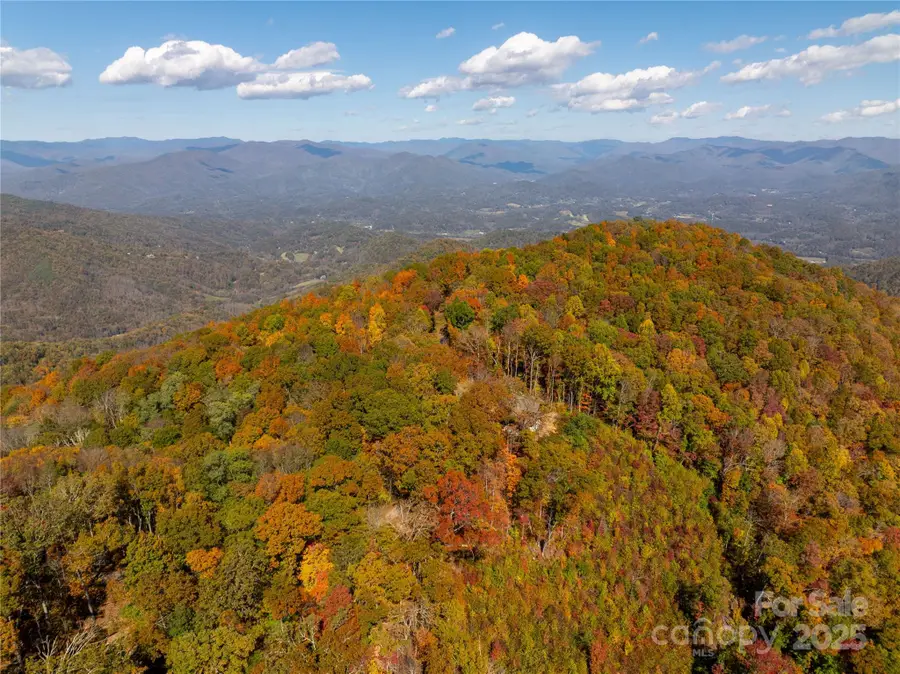 9999 Conleys Creek, Whittier, NC 28789 - Image #2