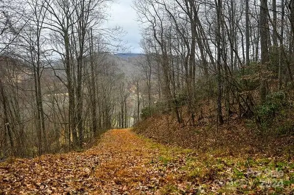 19 Flowing Hills Drive #19, 20, Clyde, NC 28721