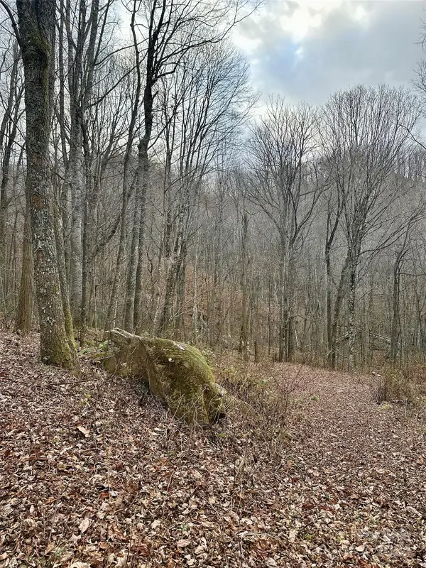 11 Treetops Lane, Clyde, NC 28721