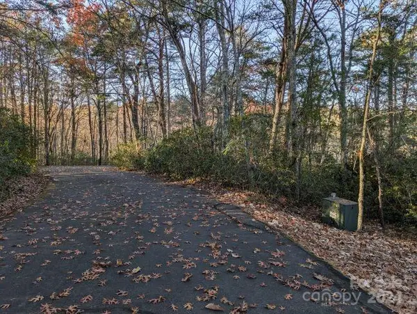 0 Willow Lane #59 & 60, Columbus, NC 28722