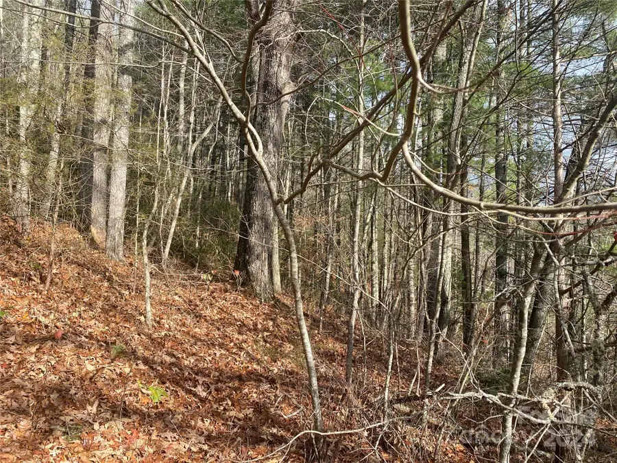 0 Gospel Drive, Sylva, NC 28779 - Image #3