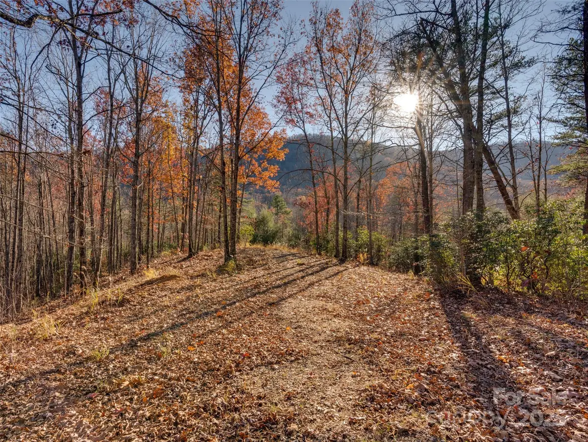 263 Nuthatch Lane, Black Mountain, NC 28711 - Image #1
