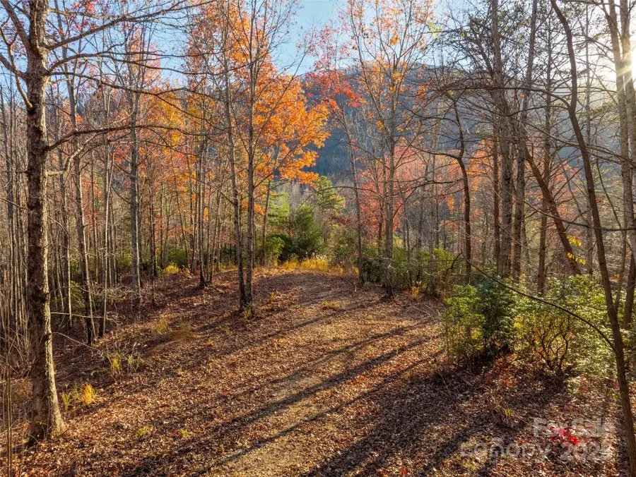 263 Nuthatch Lane, Black Mountain, NC 28711 - Image #3