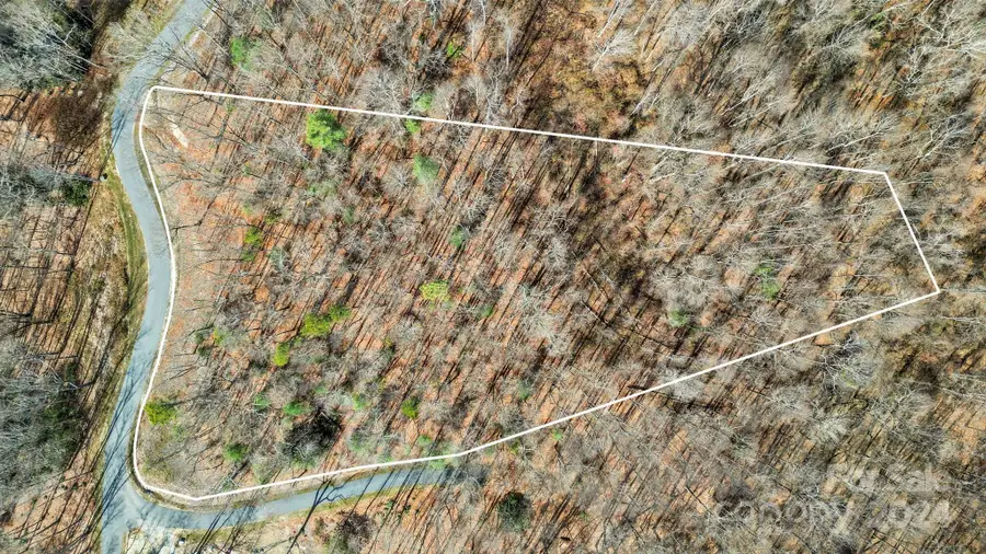 99 Spring Song Lane #9, Fletcher, NC 28732 - #2