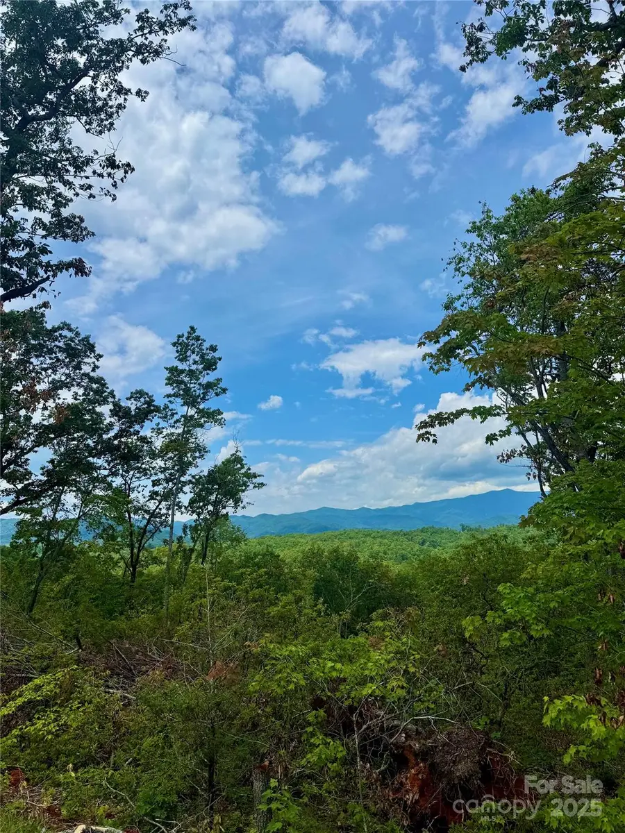 182 Warren Ridge Drive #7, Old Fort, NC 28762 - Image #2