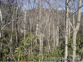6 Pt Paradise Lane, Waynesville, NC 28785 - Image #3