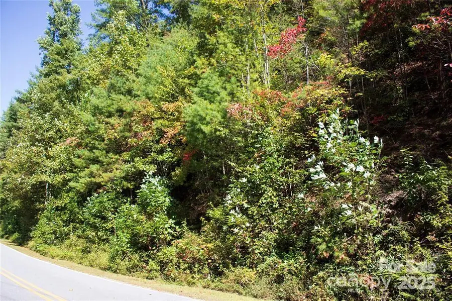 TBD Frozen Creek None #34, Brevard, NC 28712 - Image #2