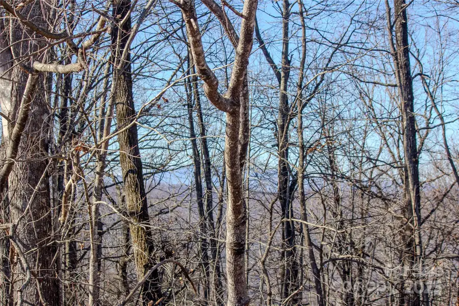 2206 Nighthawk Ridge Court #27, Lenoir, NC 28645 - Image #3