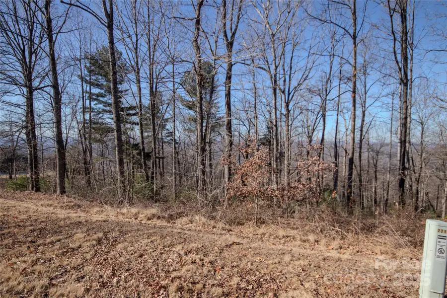 2220 Nighthawk Ridge Court #31, Lenoir, NC 28645 - Image #3