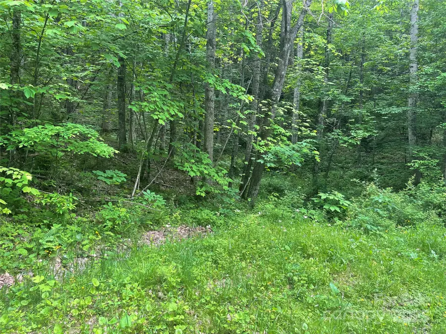 34 Buckeye Creek Road, Banner Elk, NC 28604 - Image #2