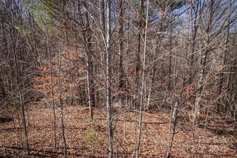 742 Chatsworth Circle Se #19, Lenoir, NC 28645 - Image #3