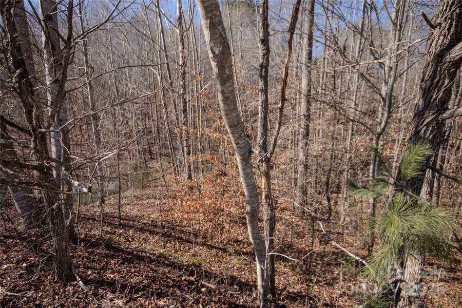 746 Chatsworth Circle Se #21, Lenoir, NC 28645 - Image #3