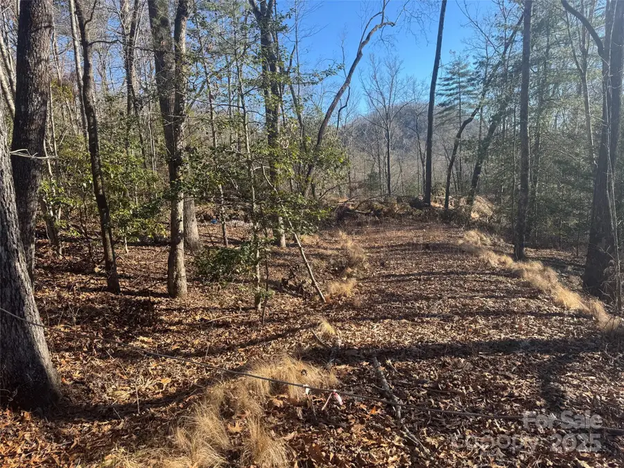 999 Laurel Thicket Lane, Brevard, NC 28712 - Image #2