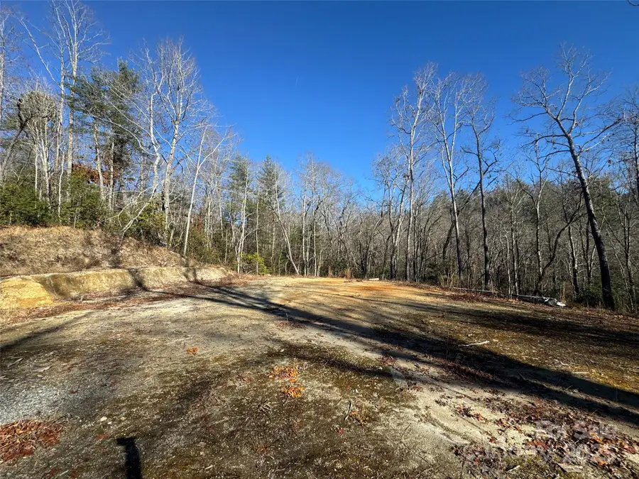 999 Laurel Thicket Lane, Brevard, NC 28712 - Image #3