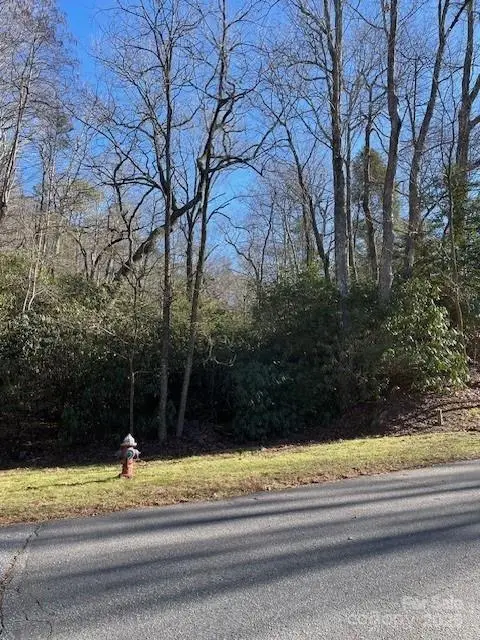 M12R Elk Mountain Trail #M12R, Brevard, NC 28712 - Image #1