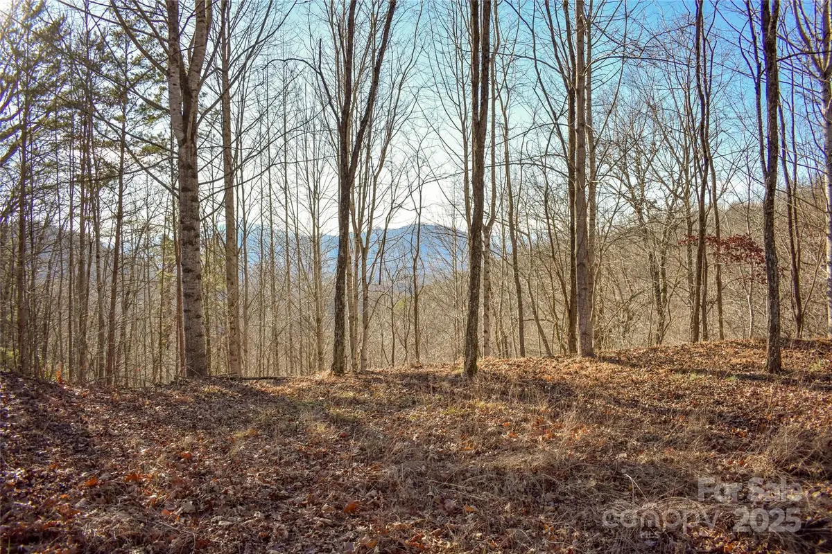 10 Ridge Place #10, Bryson City, NC 28713 - Image #1