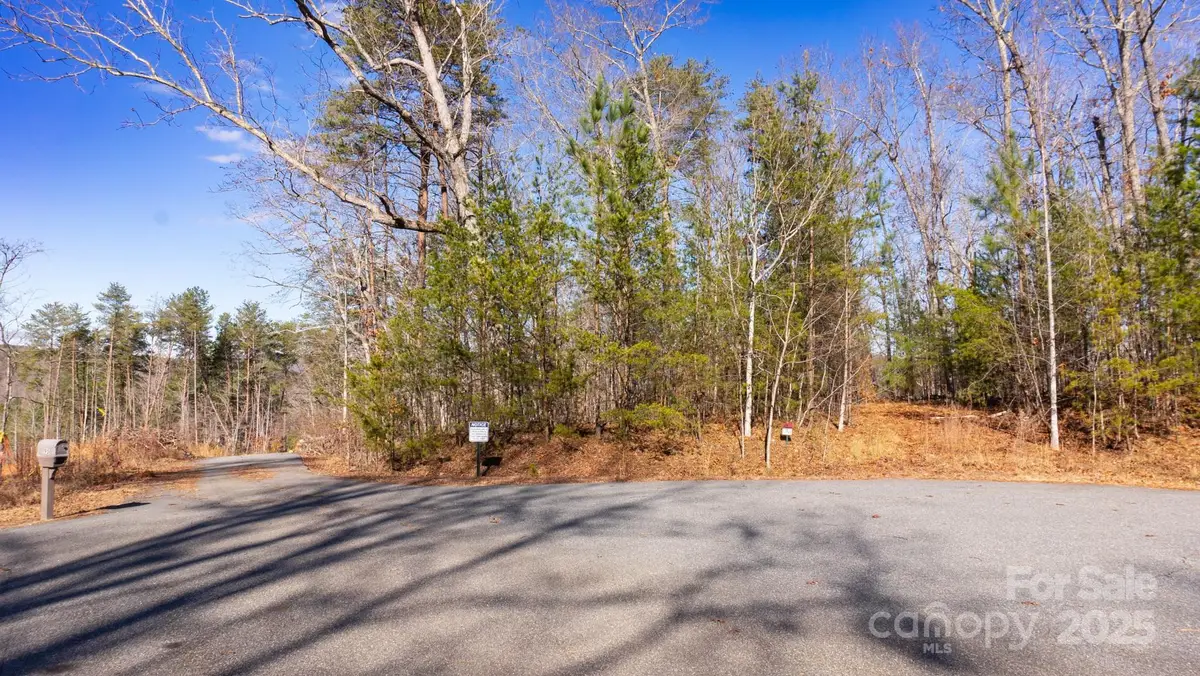 0 Shady Bark Lane, Rutherfordton, NC 28139 - Image #1