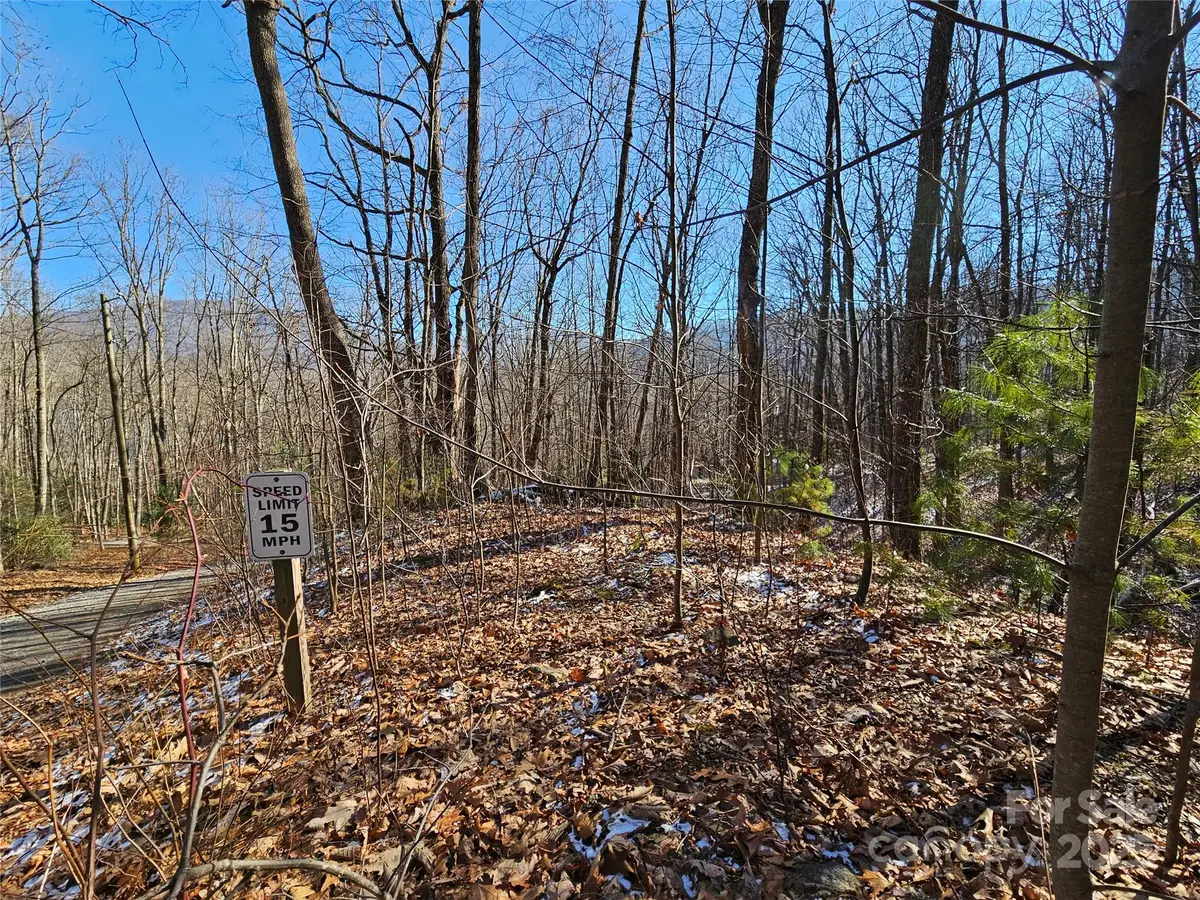 0 Libbies Lane #6, Waynesville, NC 28786 - Image #1