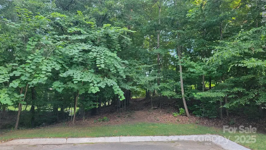 612 Ellis Court, Cramerton, NC 28032 - Image #2