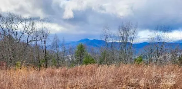 255 Clearview Lane #12, Marshall, NC 28753