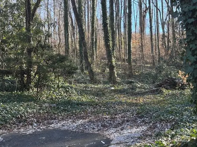 0 Savannah Drive, Sylva, NC 28779 - Image #2