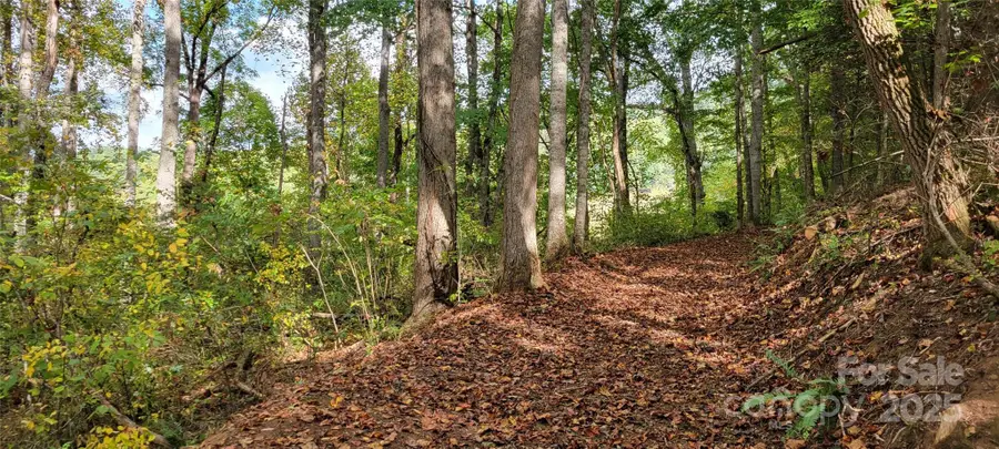 43 Dodder Lane, Cullowhee, NC 28723 - Image #3