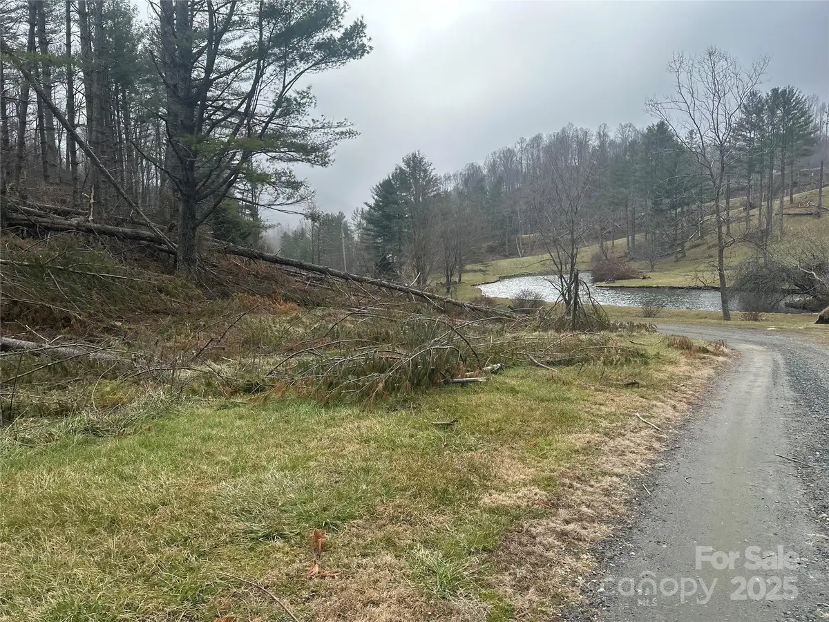 99999 Big Rock Creek Drive, Bakersville, NC 28705 - Image #1