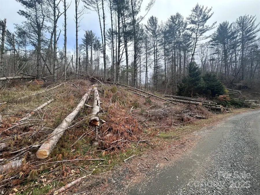 99999 Big Rock Creek Drive, Bakersville, NC 28705 - Image #2