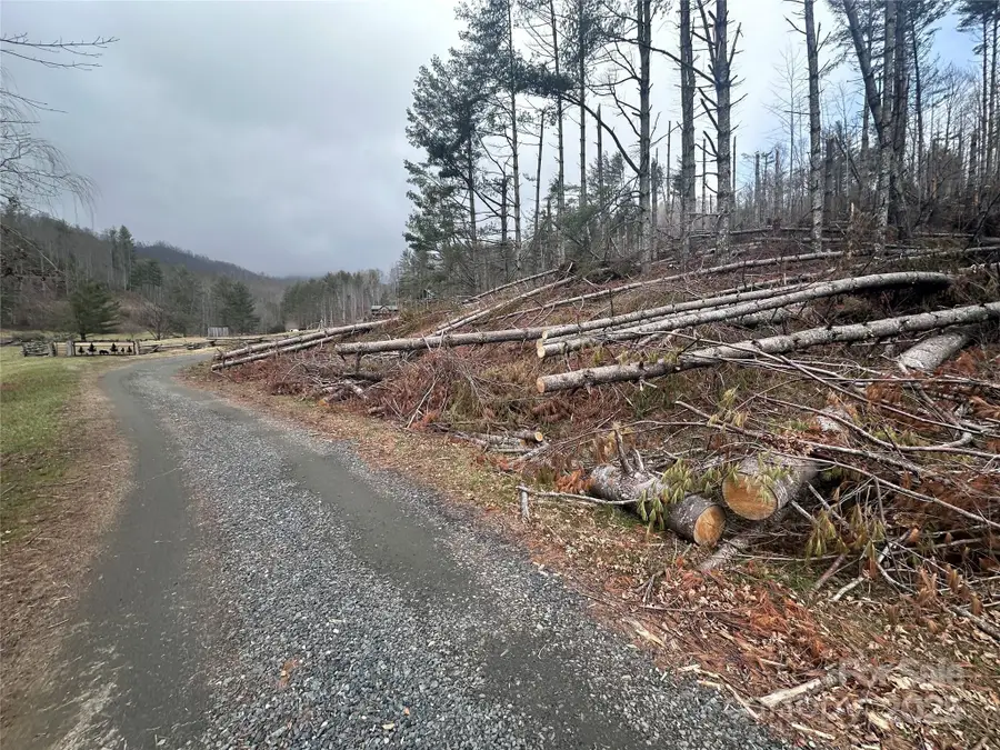 99999 Big Rock Creek Drive, Bakersville, NC 28705 - Image #3